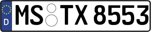 MS-TX8553