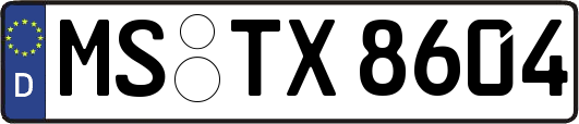 MS-TX8604