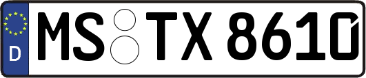 MS-TX8610