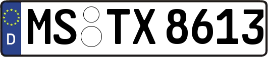 MS-TX8613