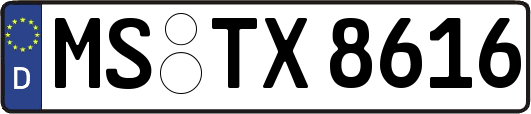 MS-TX8616