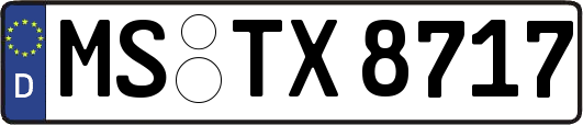MS-TX8717