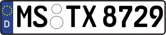MS-TX8729