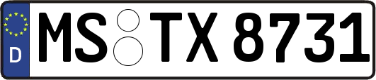 MS-TX8731