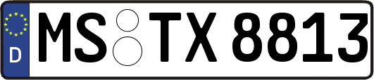 MS-TX8813