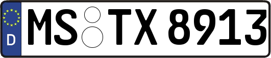 MS-TX8913