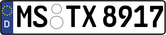 MS-TX8917
