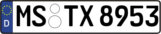MS-TX8953