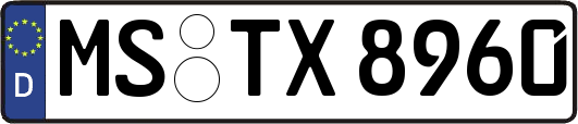 MS-TX8960