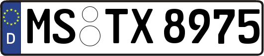 MS-TX8975