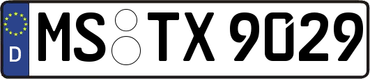 MS-TX9029