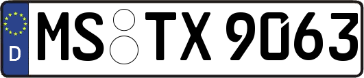 MS-TX9063