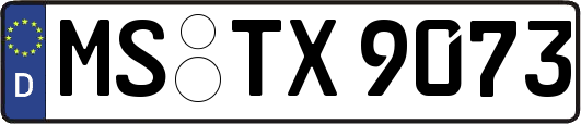 MS-TX9073