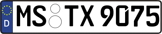 MS-TX9075