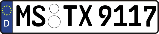 MS-TX9117