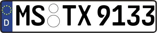 MS-TX9133