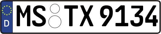 MS-TX9134