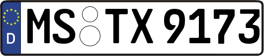MS-TX9173