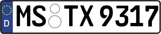 MS-TX9317