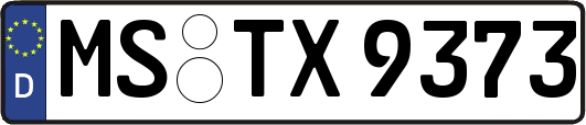 MS-TX9373