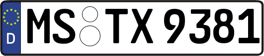 MS-TX9381