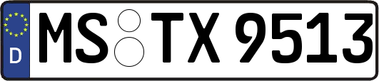 MS-TX9513
