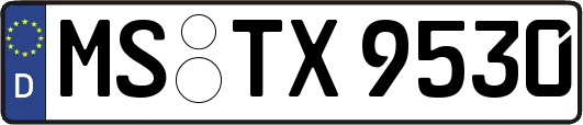 MS-TX9530