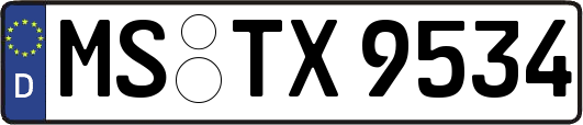 MS-TX9534