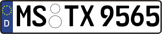 MS-TX9565