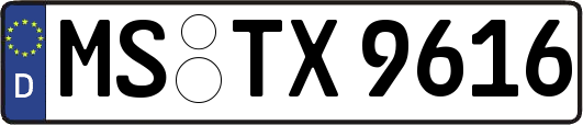 MS-TX9616