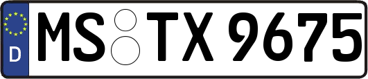 MS-TX9675