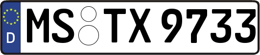 MS-TX9733