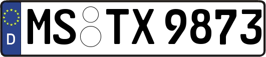 MS-TX9873
