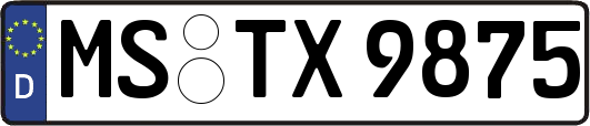 MS-TX9875