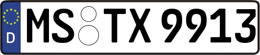 MS-TX9913
