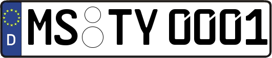 MS-TY0001