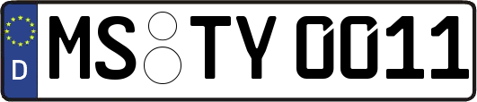 MS-TY0011