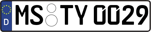 MS-TY0029