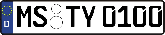 MS-TY0100