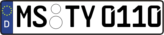 MS-TY0110