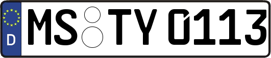 MS-TY0113