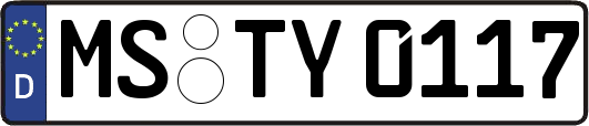MS-TY0117