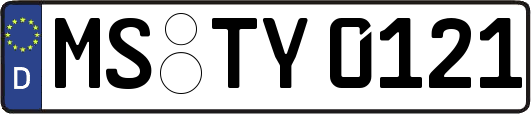 MS-TY0121