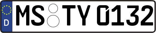MS-TY0132