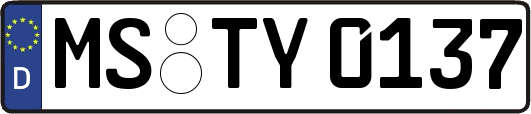 MS-TY0137