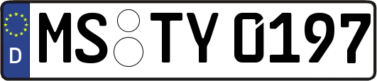 MS-TY0197