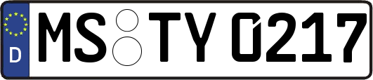 MS-TY0217
