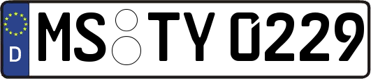 MS-TY0229