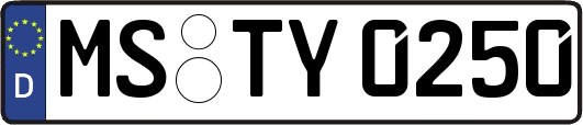 MS-TY0250