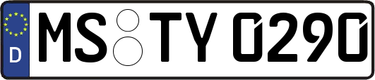 MS-TY0290